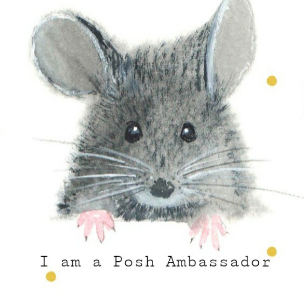 🐀💗 Posh Ambassador 💗🐀